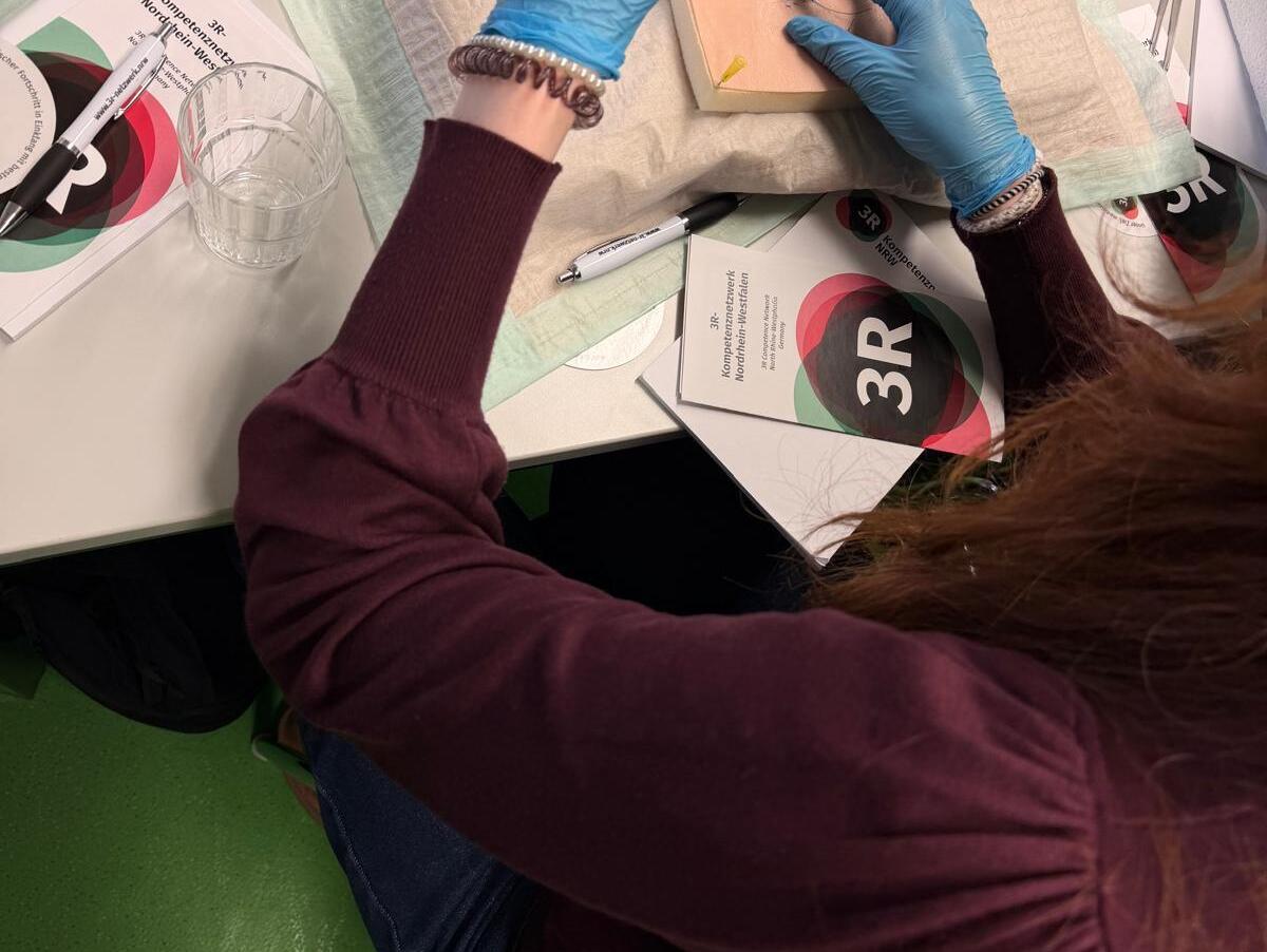 Eine Schülerin übt auf einem künstlichen Hautpad das Nahttechniken.