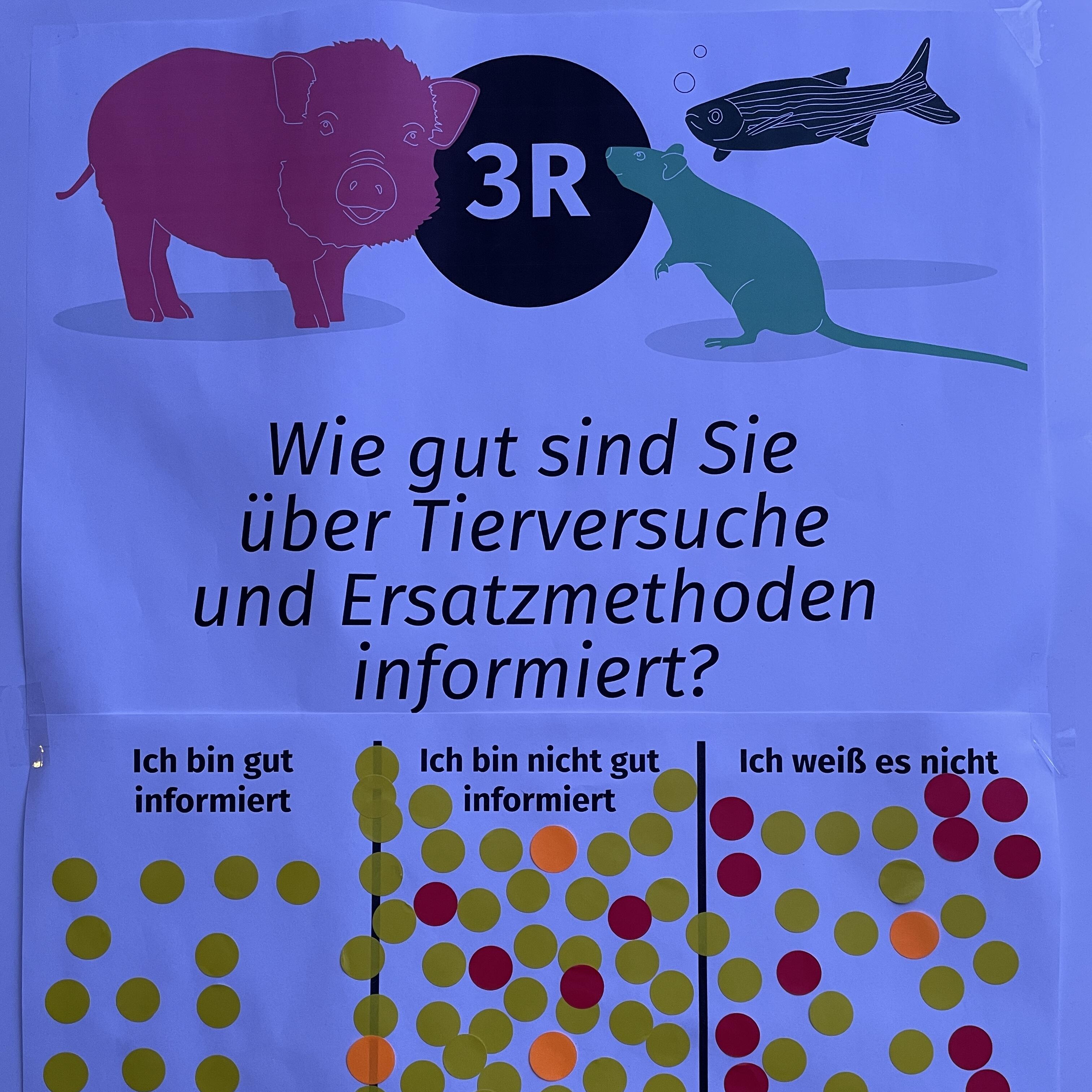 Die endgültigen Ergebnisse unserer Mitmach-Umfrage deuten darauf hin, dass sich unsere Gäste vor Ort eher wenig oder gar nicht informiert fühlen.