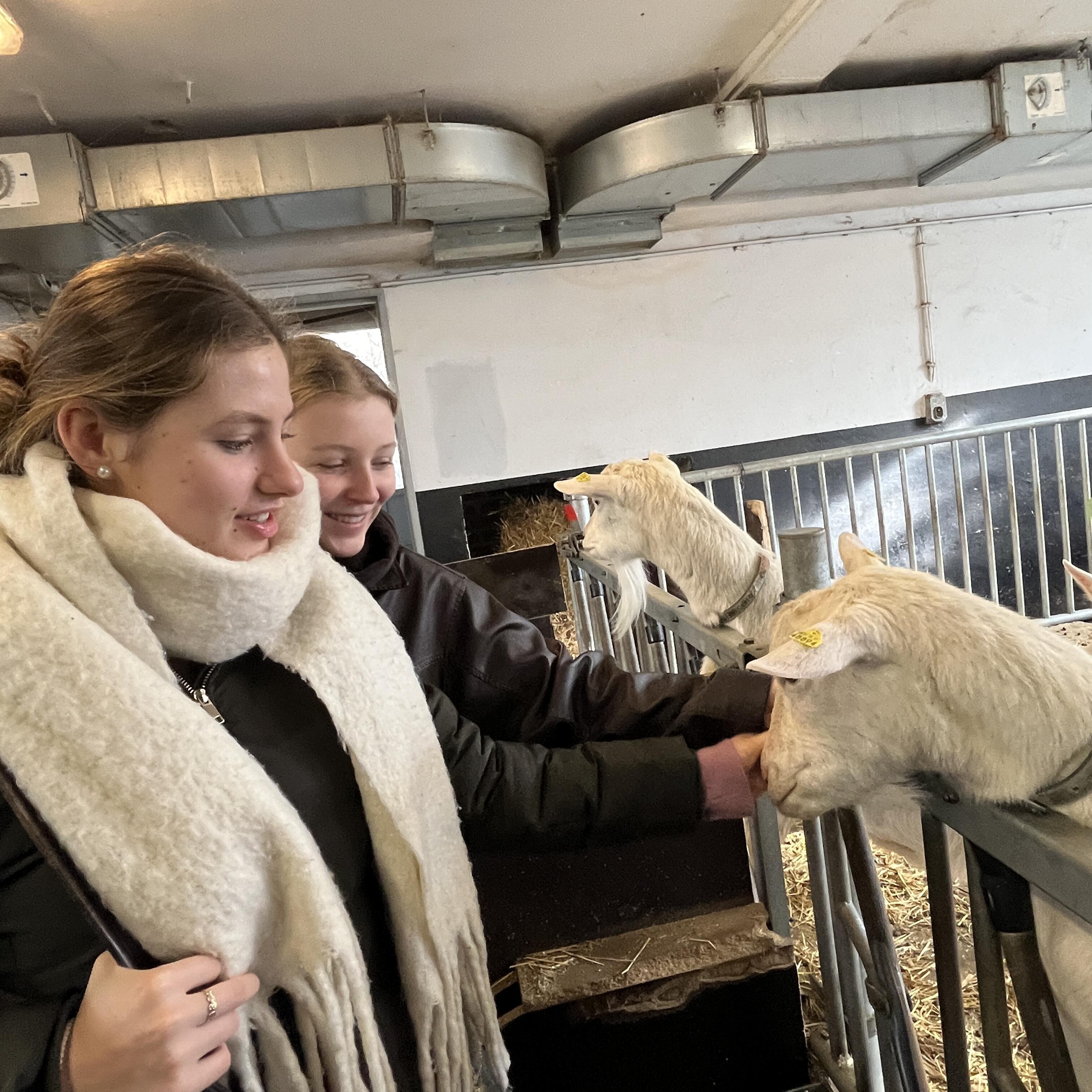 Besuch in der Nutztierhaltung