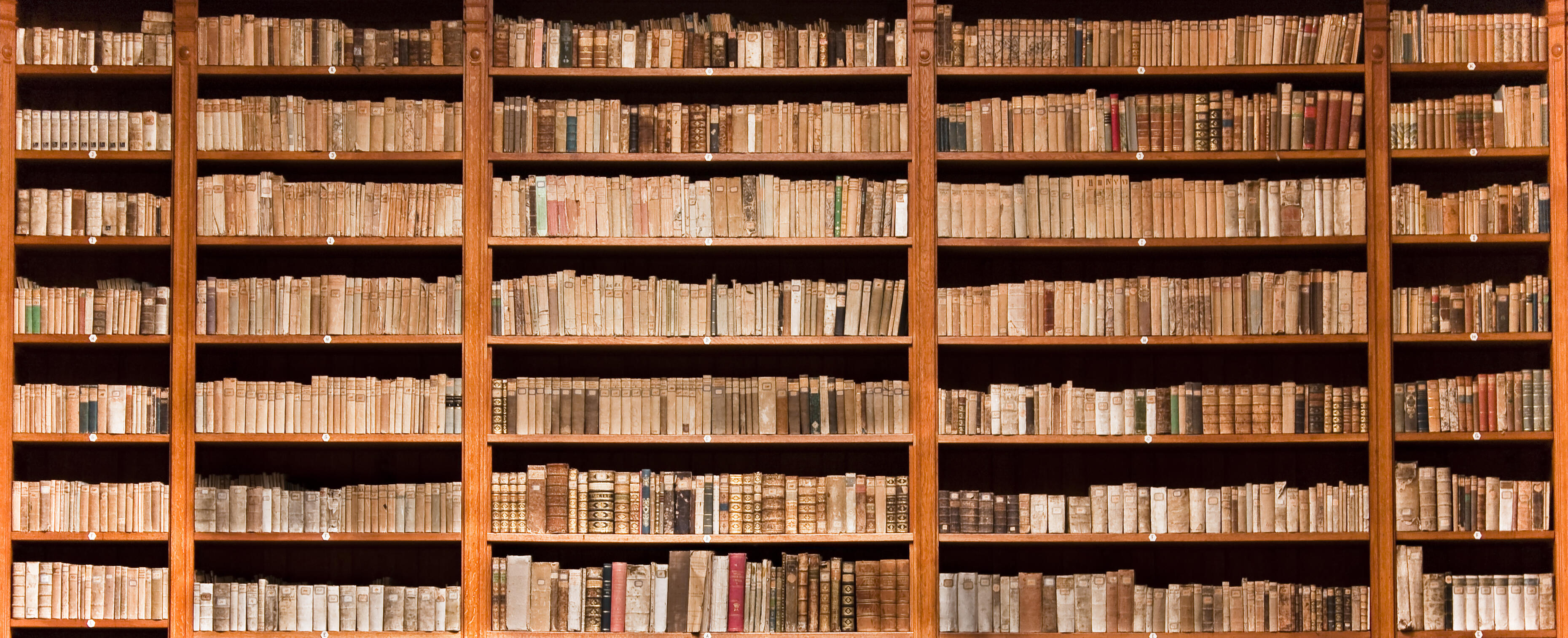 Old books in the bookshelf