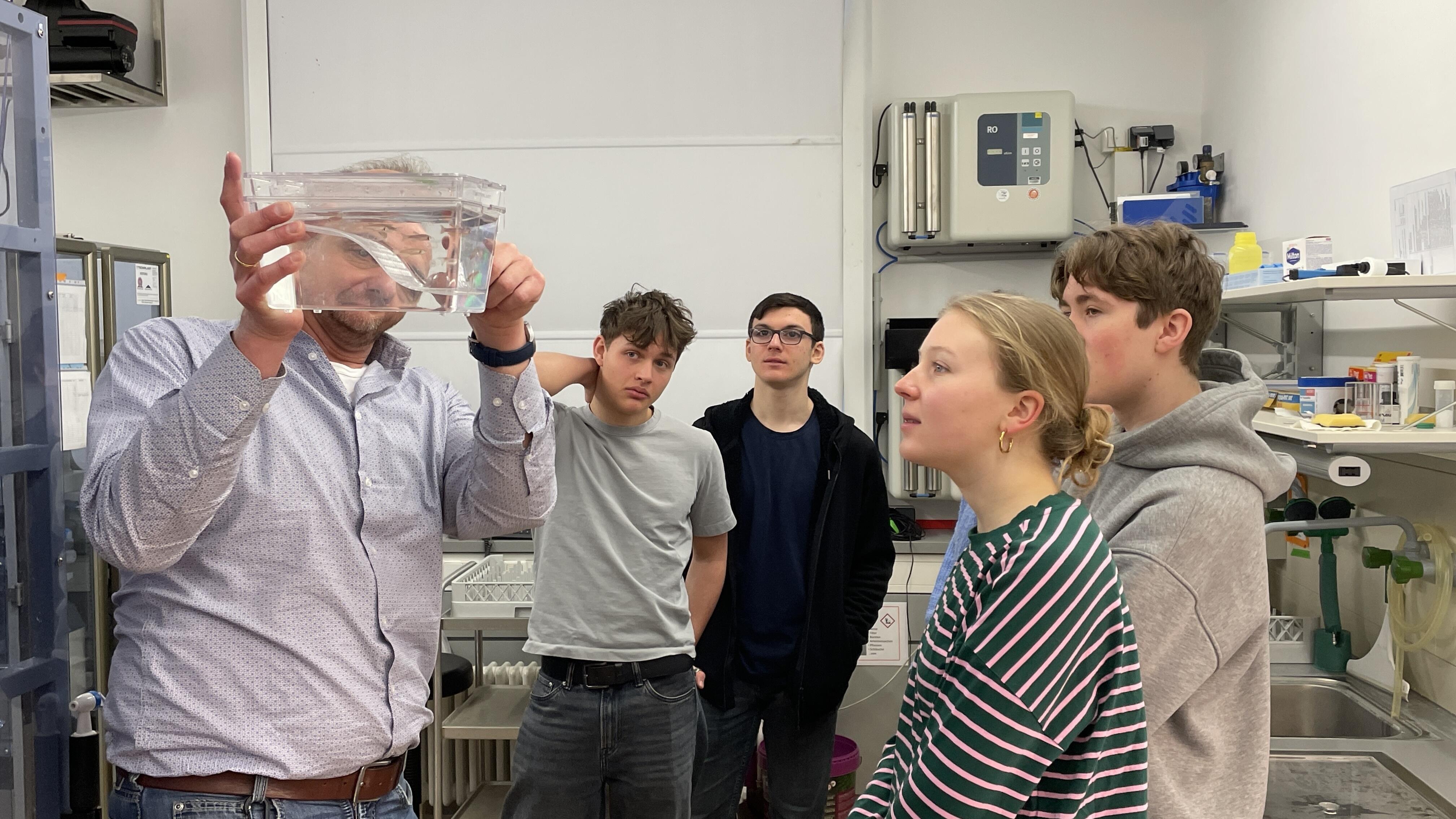 Die Schüler:innen erfahren, wie Zebrafische bei der Erforschung neurodegenerativer Erkrankungen eingesetzt werden.