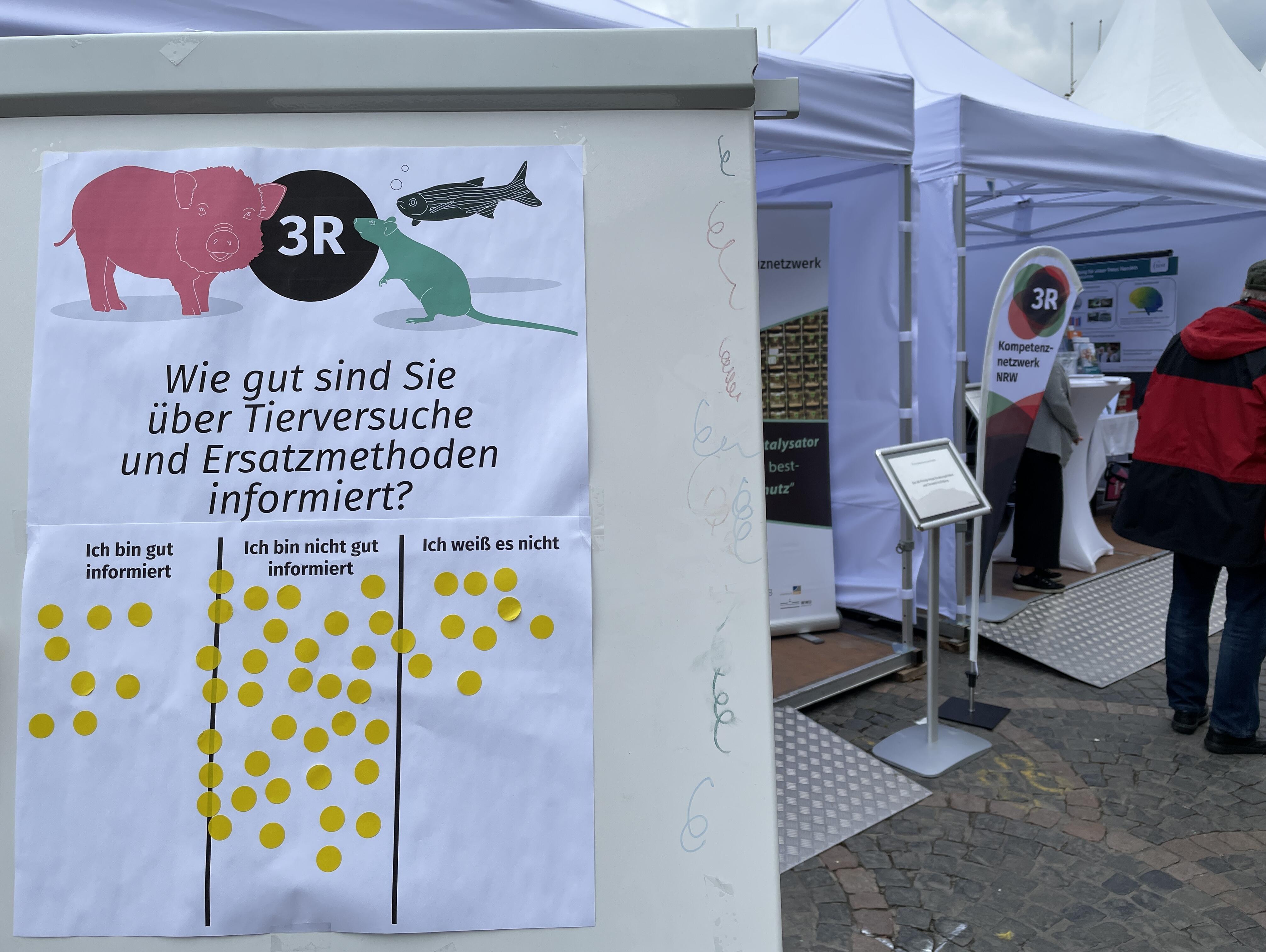 Die Zwischenergebnisse unserer Mitmach-Umfrage „Wie gut sind Sie über Tierversuche und Ersatzmethoden informiert?“ sind dargestellt. Viele Besucher:innen haben sich für „Nicht gut informiert“ und „Ich weiß es nicht“ entschieden.