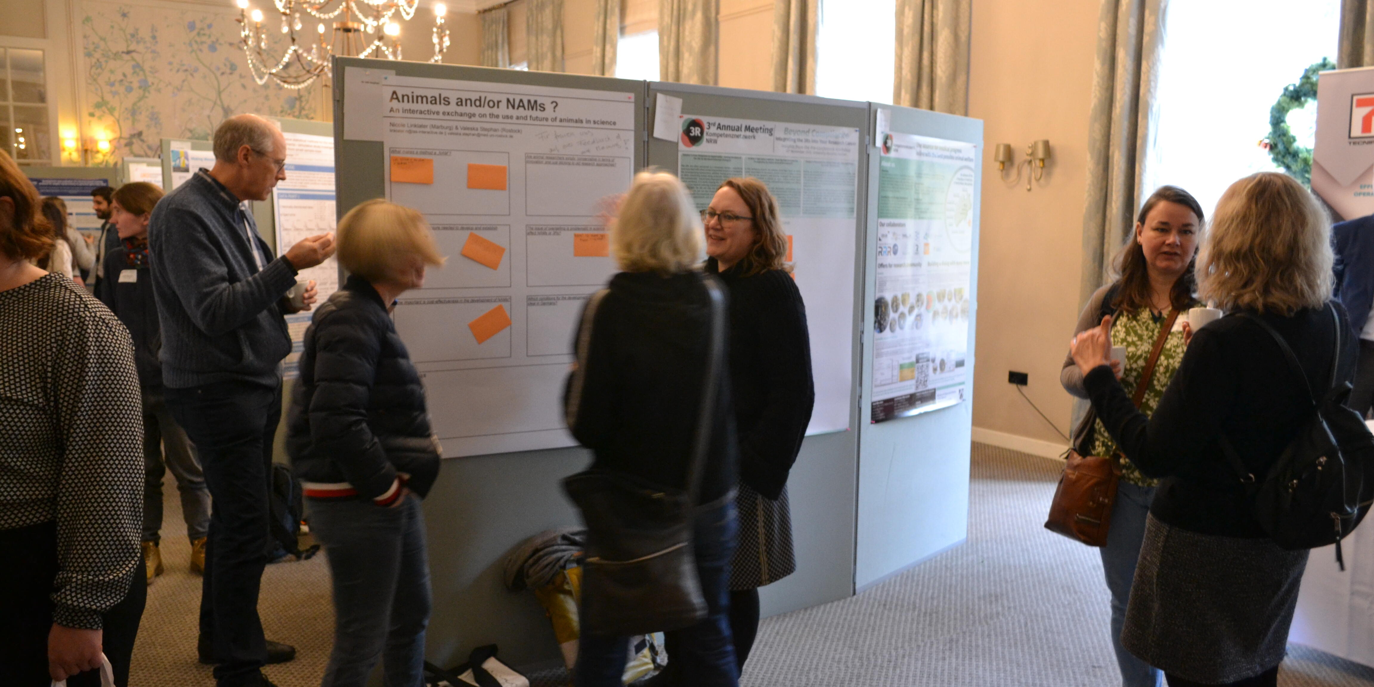 Poster session from the selected abstracts