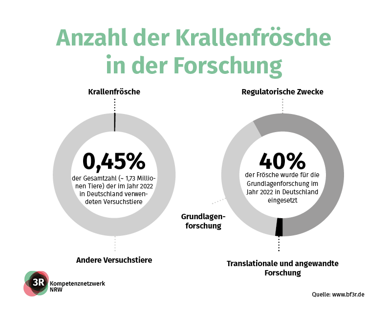 Zwei Tortendiagrammen werden für das Jahr 2022 dargestellt, wo die Anzahl der verwendeten Krallenfrösche in Forschung und die Aufteilung nach Forschungszwecke prozentual angegeben wird. Die Daten wurden von der Bf3R-Website erhalten.