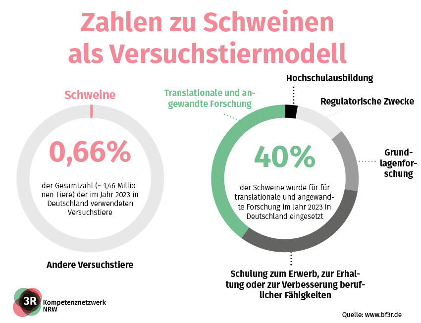 Zahlen zu Schweinen als Versuchstiermodell werden in Tortendiagrammen nach Tierart und Verwendungszweck dargestellt.